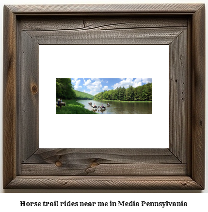 horse trail rides near me in Media, Pennsylvania